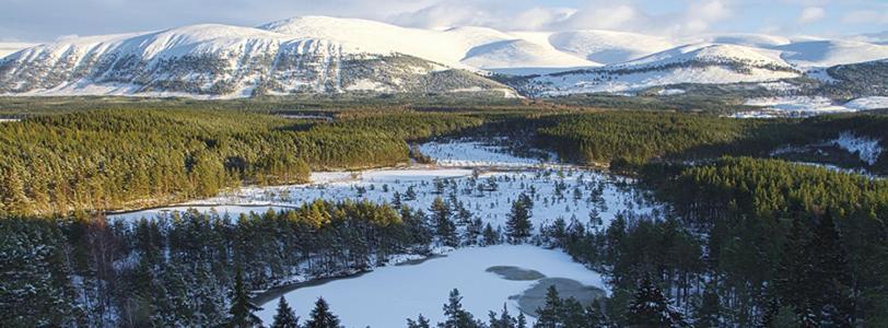 Apartmán Bonny Vista Inverness Exteriér fotografie